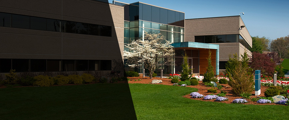 South Lake Tahoe Landscapers