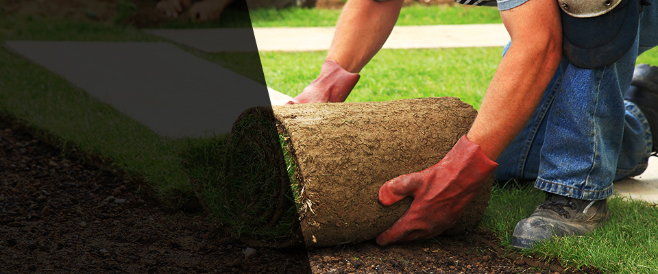 South Lake Tahoe Landscapers